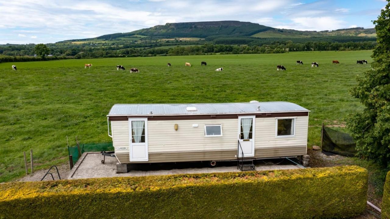 Devil'S Bit Accommodation Killea Extérieur photo